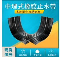 CB CP中埋式橡胶止水带 桥梁隧道施工缝止水带遇水膨胀止水带厂家