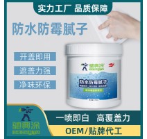 驰典涂防水防霉腻子内墙白色补墙膏家装墙面刮白色耐水腻子5kg